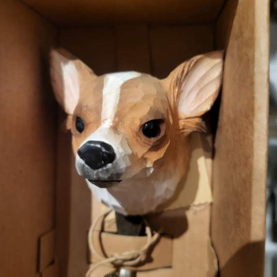 Djurkrok Chihuahua