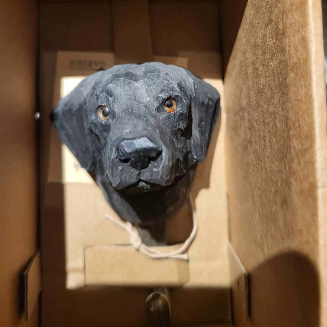 Djurkrok Labrador