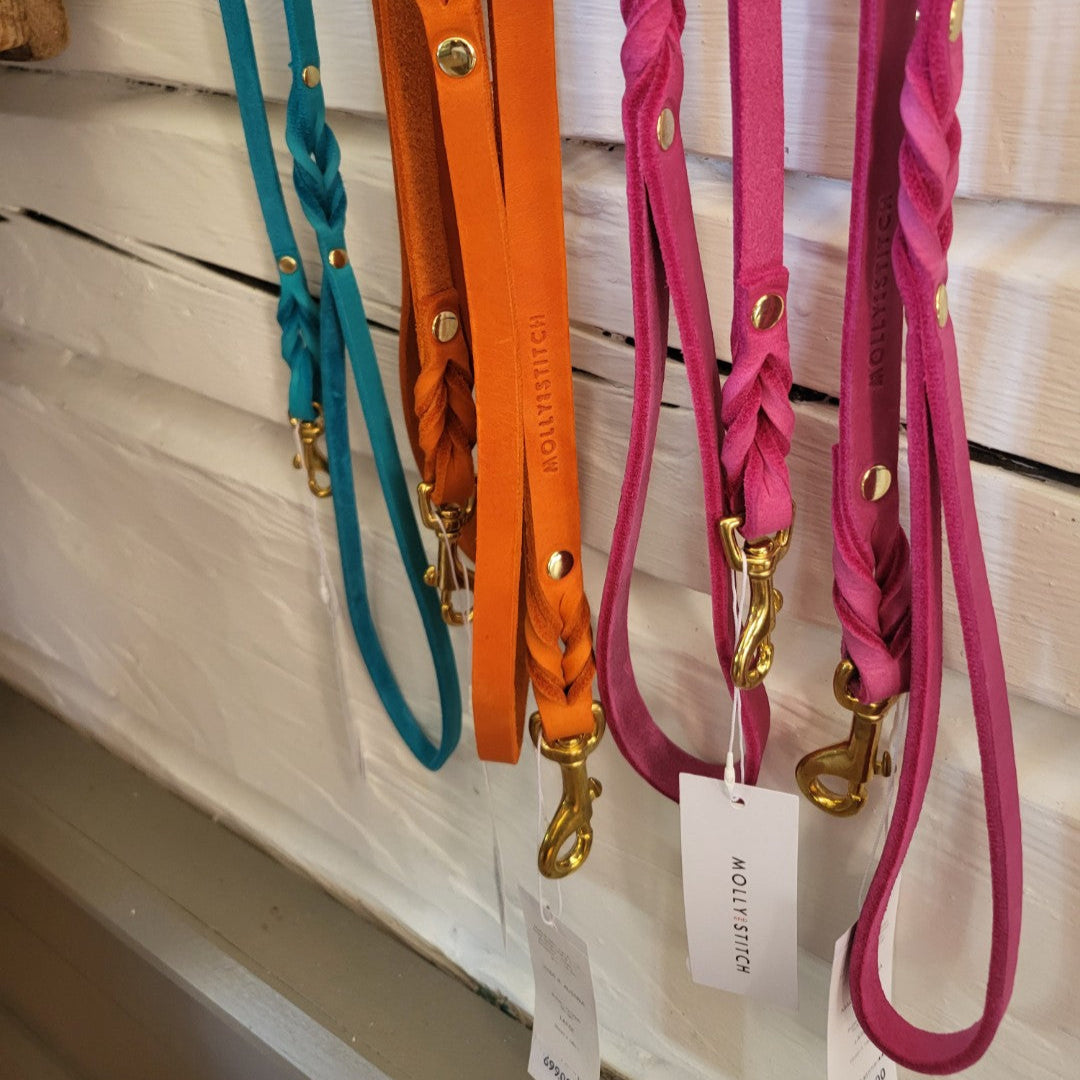 Halsband retriver (Molly & Stitch)