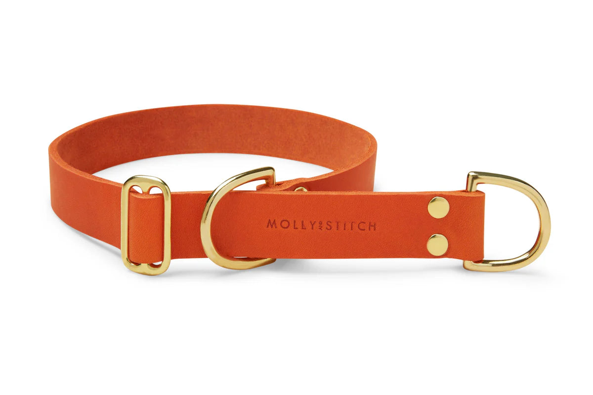 Halsband retriver olive, storlek M (Molly & Stitch)
