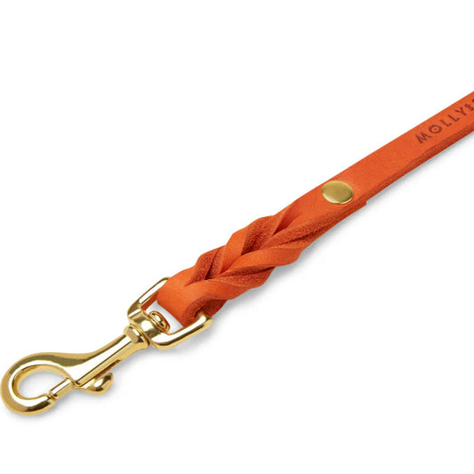 Orange koppel till vovven, storlek M (Molly & Stitch)