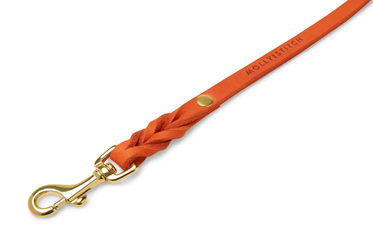 Orange koppel till vovven, storlek L (Molly & Stitch)