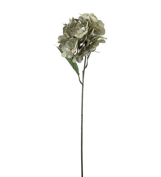 Hortensia (grön)