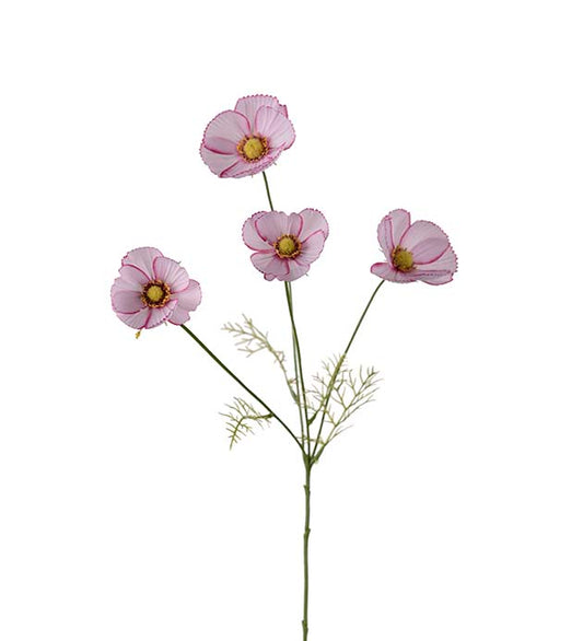 Rosenskära (rosa)