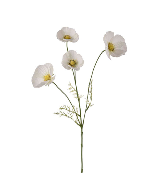 Rosenskära (vit)